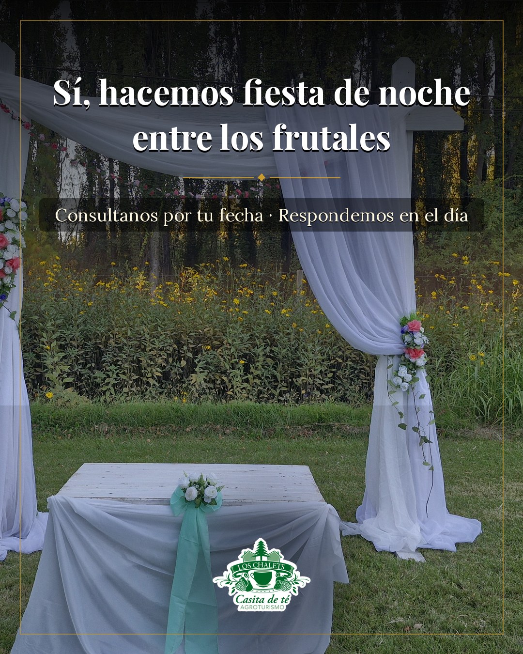 Sí, hacemos fiesta de noche
entre los frutales
