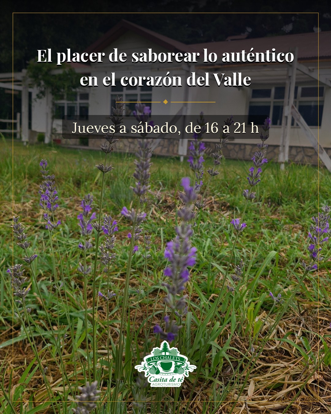 El placer de saborear lo auténtico
en el corazón del Valle