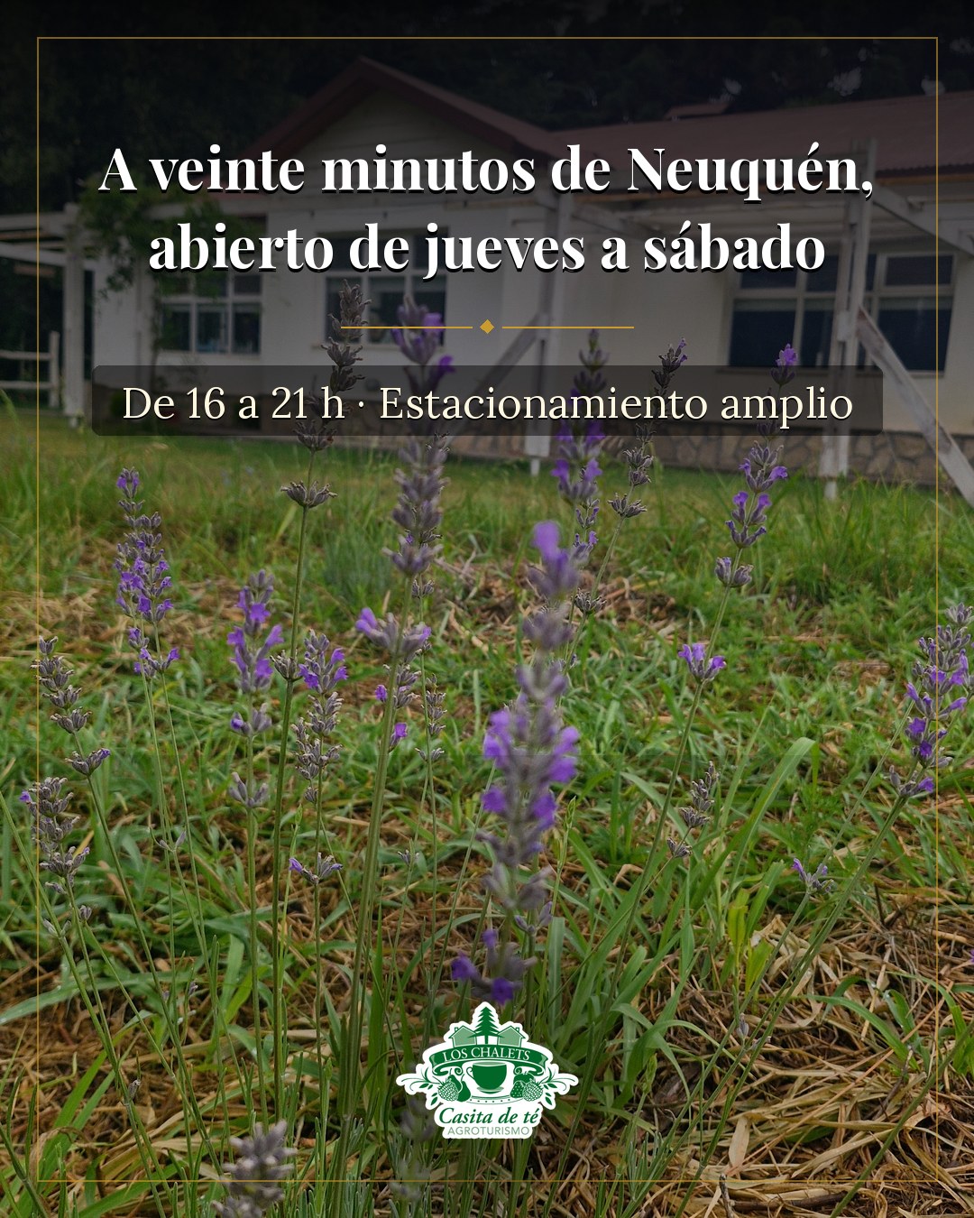 A veinte minutos de Neuquén,
abierto de jueves a sábado